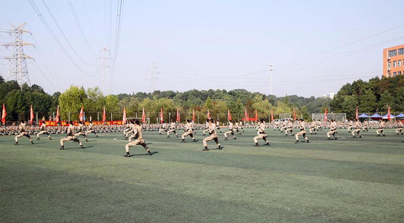 ZM7A9464.jpg ZM7A9464.jpg